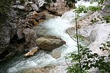 IMG_3135.JPG