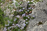 IMG_3137.JPG