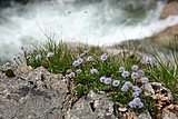 IMG_3138.JPG