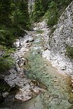 IMG_3147.JPG