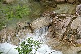 IMG_3151.JPG