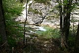 IMG_3158.JPG
