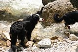 IMG_3177.JPG