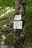 IMG_3182.JPG