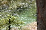 IMG_3201.JPG