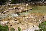 IMG_3204.JPG