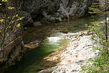 IMG_3205.JPG