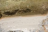 IMG_3208.JPG