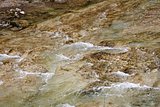 IMG_3209.JPG
