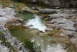 IMG_3216.JPG
