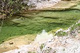 IMG_3228.JPG
