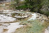 IMG_3242.JPG