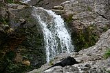 IMG_3246.JPG