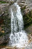 IMG_3250.JPG