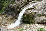 IMG_3251.JPG
