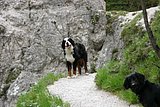 IMG_3278.JPG