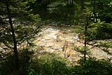 IMG_3285.JPG