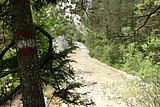 IMG_3288.JPG