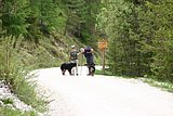 IMG_3302.JPG
