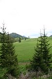 IMG_3304.JPG