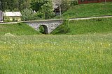 IMG_3319.JPG