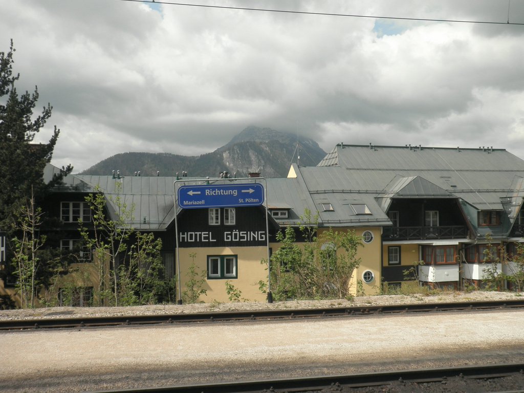 P5240001.JPG