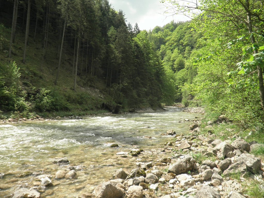 P5240015.JPG