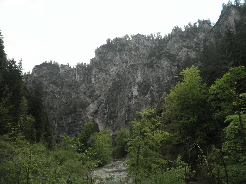 P5240038.JPG