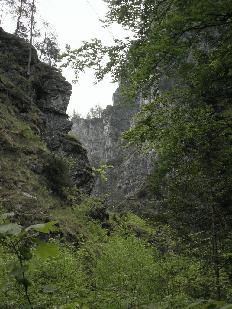 P5240040.JPG
