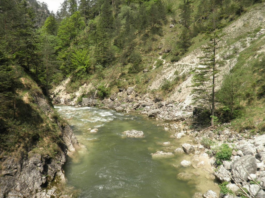 P5240044.JPG