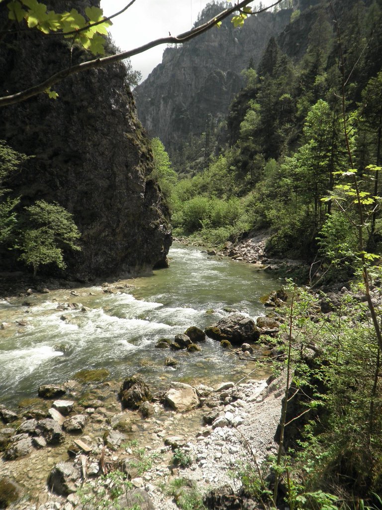 P5240047.JPG
