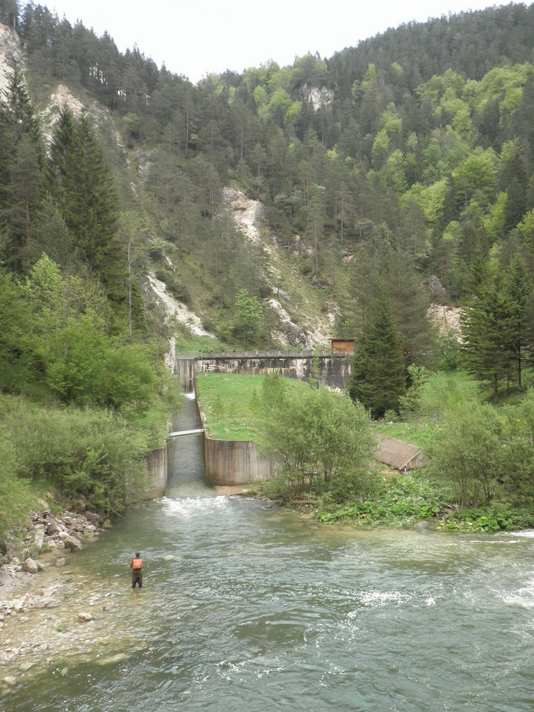 P5240059.JPG