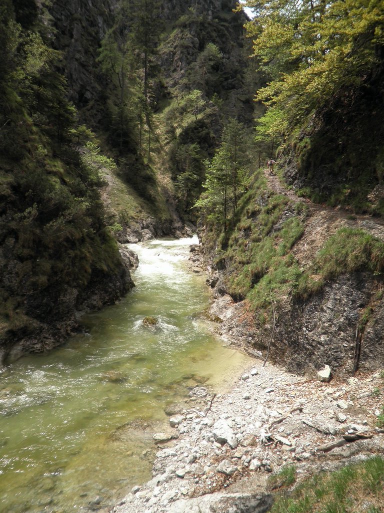 P5240072.JPG