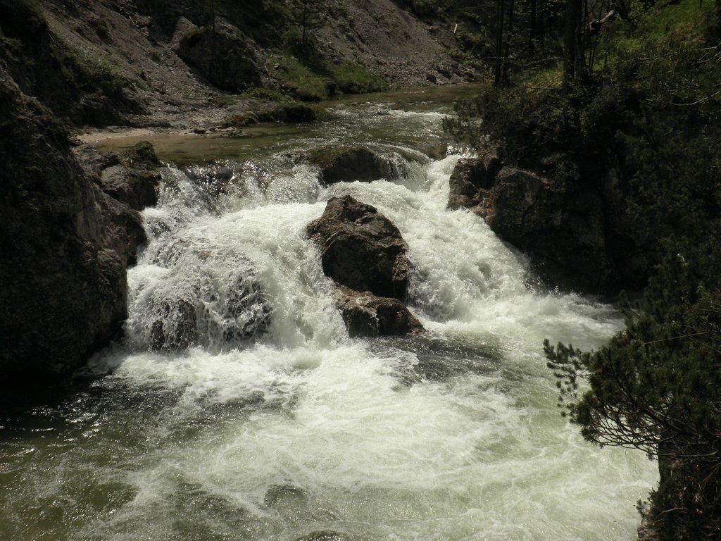 P5240085.JPG