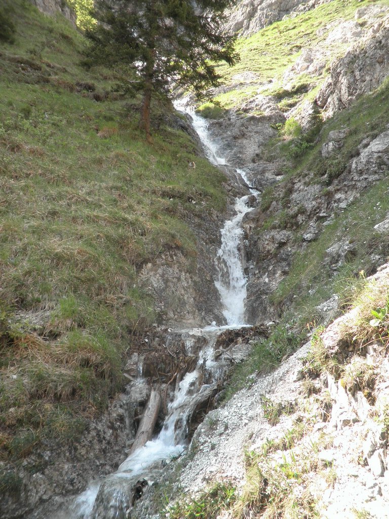 P5240141.JPG