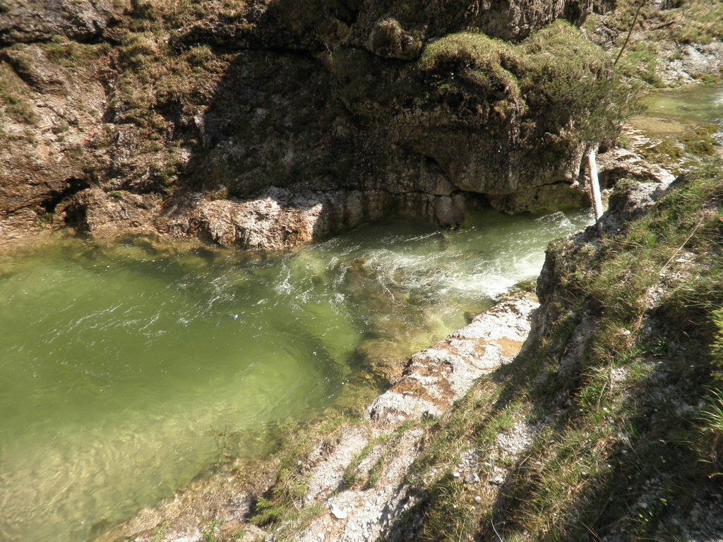 P5240142.JPG