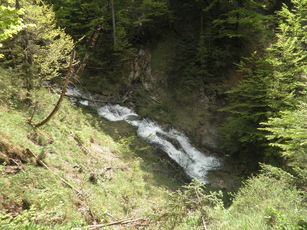 P5240154.JPG