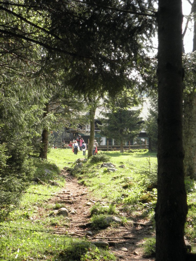 P5240161.JPG