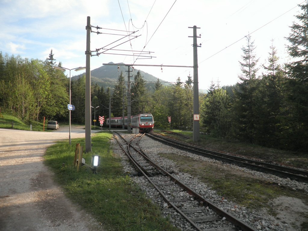 P5240172.JPG