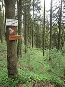 P5240004.JPG