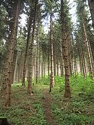 P5240006.JPG