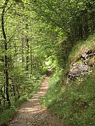 P5240019.JPG