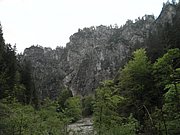 P5240038.JPG