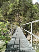 P5240043.JPG