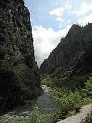 P5240050.JPG