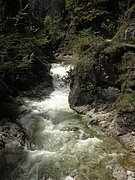 P5240069.JPG