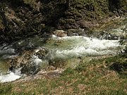 P5240125.JPG