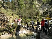 P5240151.JPG