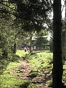 P5240161.JPG
