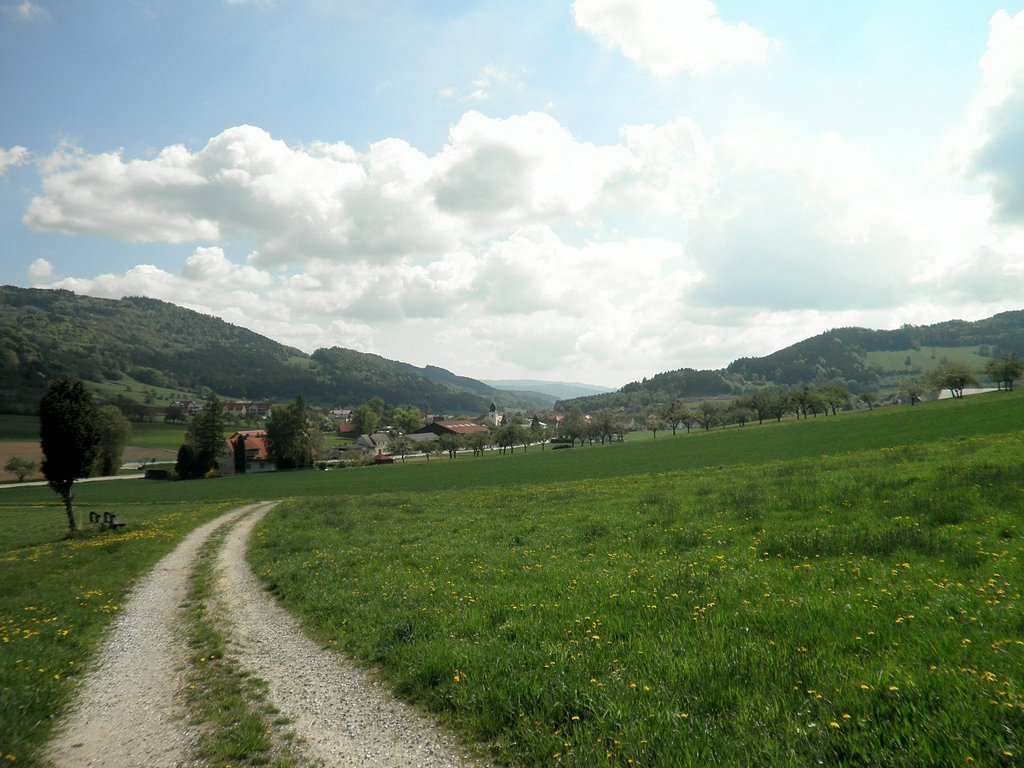 P5090004.JPG